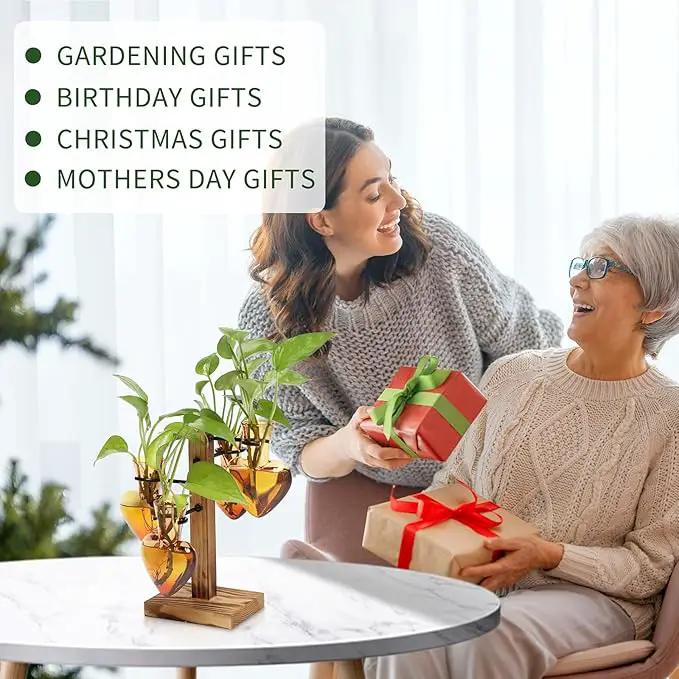 Plants Propagation Stations Plant Terrarium Kit Glass Planters for Indoor Plants House Plant Accessories Gift for Women - 4 Love Bulb Vase by GreenHaven Gardens