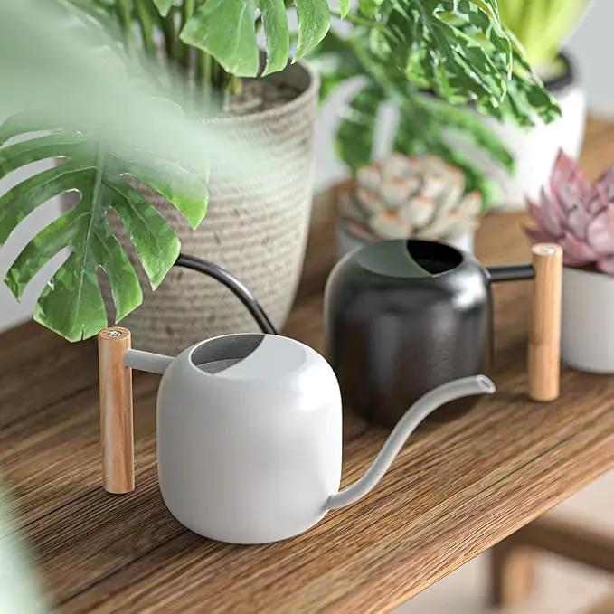 Green Moon Water Can Indoor Plant Black 1.2L/41oz with Long Spout Small Water Can Metal Watering Can Pot for Indoor House Plant Bonsai Outdoor Garden Flowers Decorative by GreenHaven Gardens