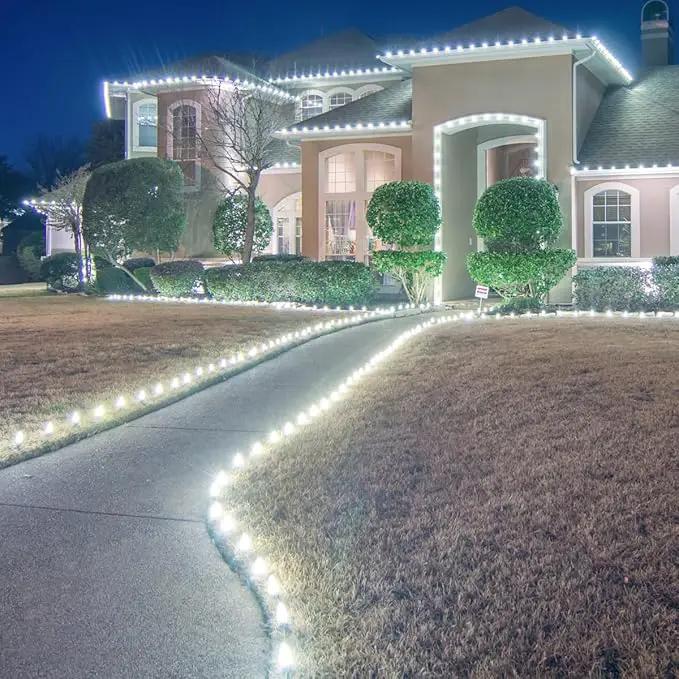 C9 Christmas Pathway Lights with Stakes,Cold White,30 Ft 20 Strawberry LED Bulbs,Connectable Shatterproof Outdoor Lights Marker for Xmas Yard Garden Path Lawn Walkway Sidewalk by GreenHaven Gardens