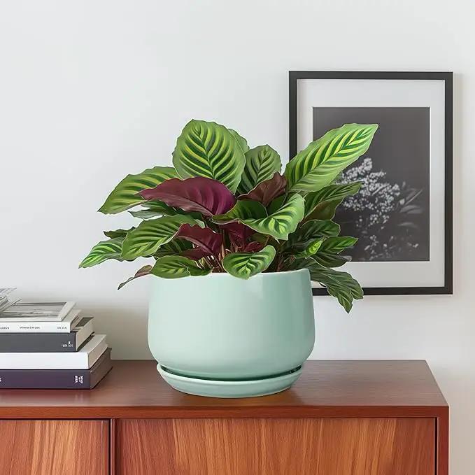 G EPGardening Ceramic Plant Pots - 6 Inch Pot for Plants, Ceramic Planter with Drainage and Saucer, Flower Indoor Outdoor Planter, Modern Bathroom Decor, Birthday Gifts, Green by GreenHaven Gardens