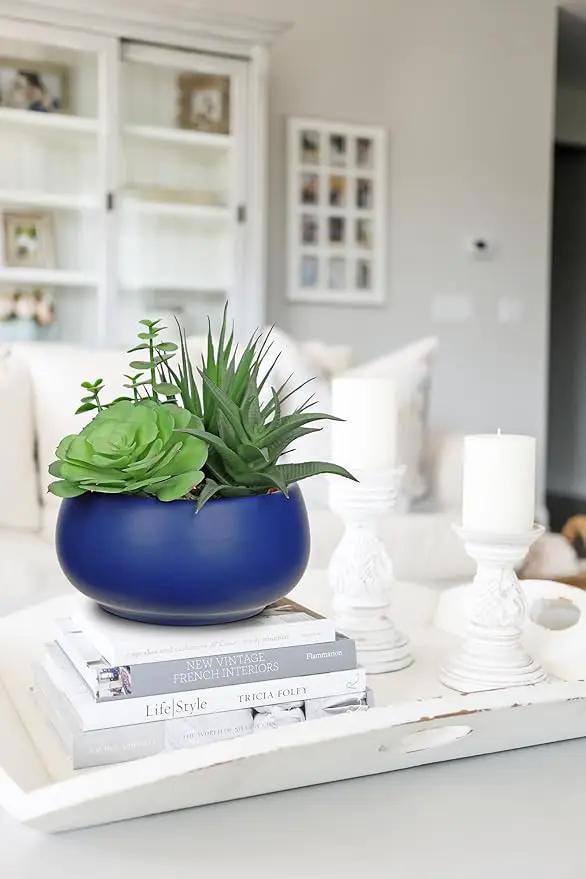 Fake Plants Artificial Succulents in Pots Faux Succulent Arrangement Potted Plant with Blue Ceramic Pot for Home Decor Modern Office Desk Bathroom Shelf Living Room Indoor & Outdoor Decoration by GreenHaven Gardens