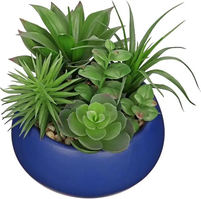 Fake Plants Artificial Succulents in Pots Faux Succulent Arrangement Potted Plant in Blue Ceramic Planter Bowl for Home Decor Office Desk Bathroom Shelf Living Room Indoor Decorations by GreenHaven Gardens