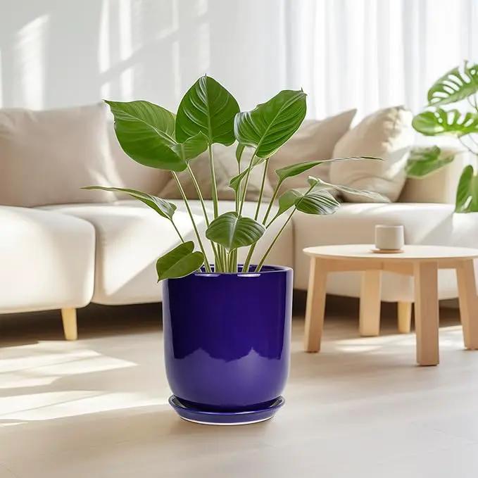 10 Inch Plant Pot - Ceramic Pot for Indoor Plants Large Planter Modern Outdoor Flower Pot with Drainage Hole and Saucer for Home Patio Decor Blue by GreenHaven Gardens