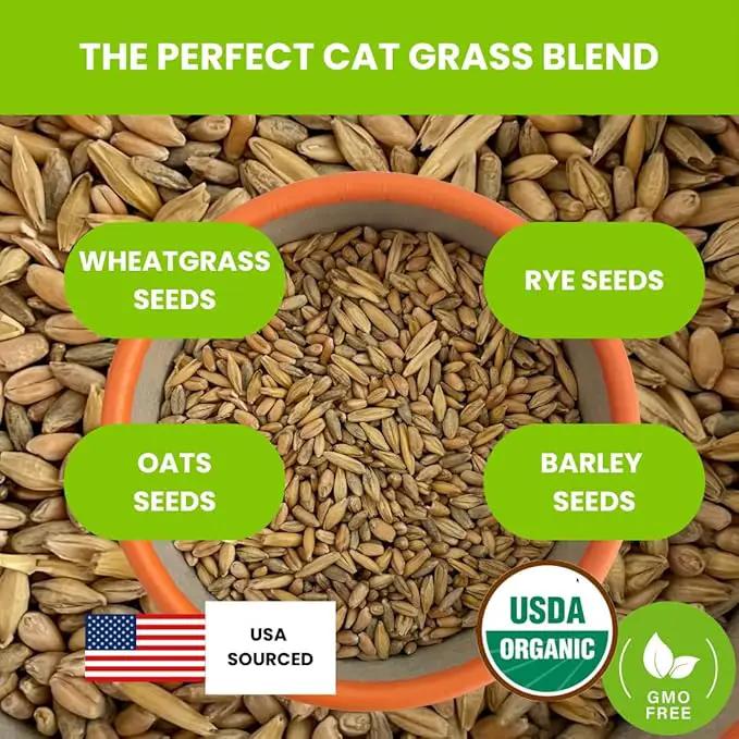 ZESTIGREENS Organic Cat Grass Seeds - Non-GMO Blend of Wheat, Oats, Rye & Barley for Indoor Cats | Seeds Come in Food Grade Container with Lid for Easier Scooping & Keeping Fresher (0.5 lb) by GreenHaven Gardens
