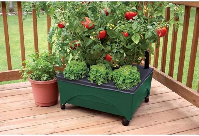Emsco Group 2341-1HD City Picker Raised Bed Self Watering and Improved Aeration – Mobile Unit with Casters-Hunter Green Grow Box and Seed Starter by GreenHaven Gardens