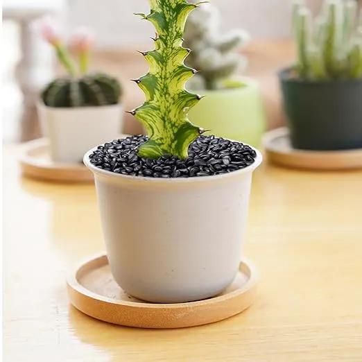 2.5 lbs Black Pebbles for Indoor Plants, Succulent, Bamboo, Vase, 3/8" Plant Rocks for Pots Indoor, Small River Rocks Decorative Pea Gravel, Highly Polished by GreenHaven Gardens