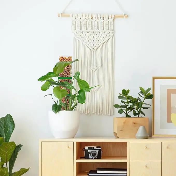 15 Inch 4 Pcs Plastic Moss Pole for Plants Monstera, 4×15'' Plant Poles for Climbing Plants, Plant Support for Indoor Plants Work with Sphagnum Moss by GreenHaven Gardens