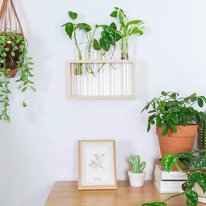 Ivolador Plant Propagation Station Terrariumin Wall Test Tube Vases Bud Tabletop Glass Wooden Stand with 5 Propagation Tubes for Propagating Hydroponic Plants Home Garden Wedding Decoration-Beige by GreenHaven Gardens