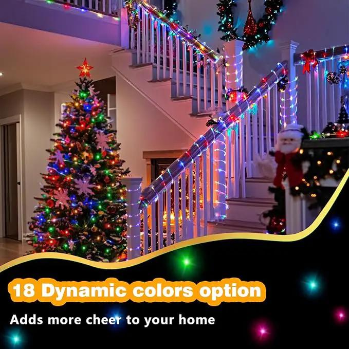 LED Rope Lights Indoor with USB Powered, 66Ft (33Ft X 2 Pack) 200 LED String Lights Outdoor with Remote,16 Color Changing Rope Lights for Outside Garden Party Wedding Christmas by GreenHaven Gardens