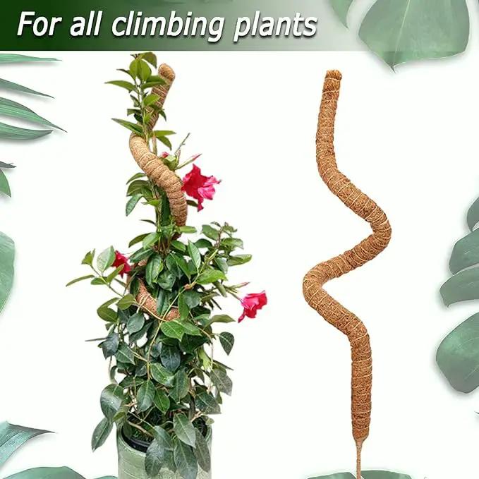 60 Inch Moss Pole for Plants Monstera, Tall Bendable Moss Poles for Climbing Plants Indoor, Large Handmade Plant Pole Sticks, Coco Coir Plant Support Stakes for Potted Plants, Pothos by GreenHaven Gardens