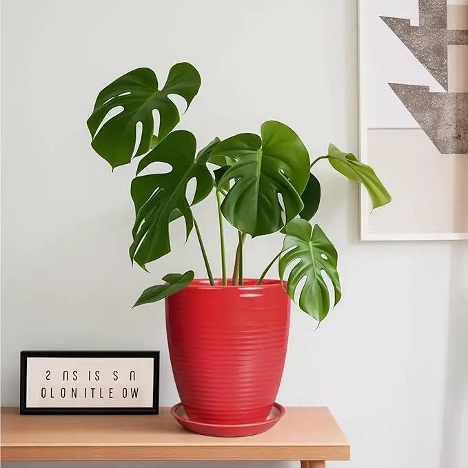 Ceramic Pot for Plants - 8 Inch Plant Pot for Indoor Plants Outdoor Round Planter Modern Flower Pot with Drainage Hole and Saucer Home Garden Office Porch Decor Red by GreenHaven Gardens