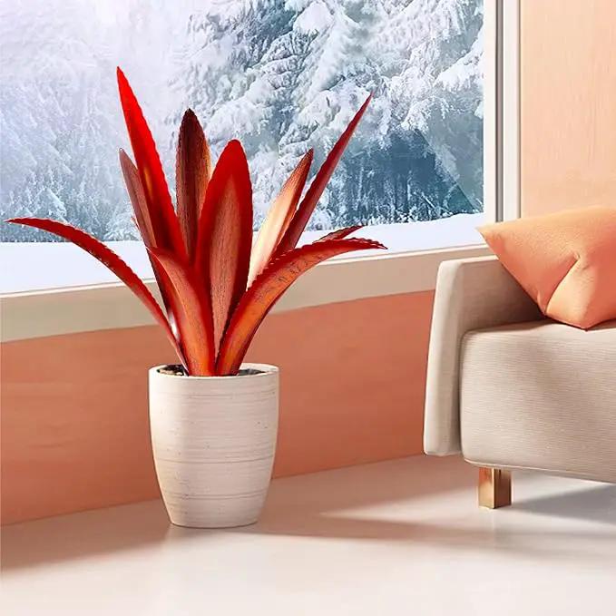Enlarge Thickened Wind Resistant Metal Agave Garden Art Metal Plant Country Garden Sculpture Statue Outdoor Decoration Agave Metal Plant Courtyard Garden Lawn Ornament Gift (2, 12 Leaves red) by GreenHaven Gardens