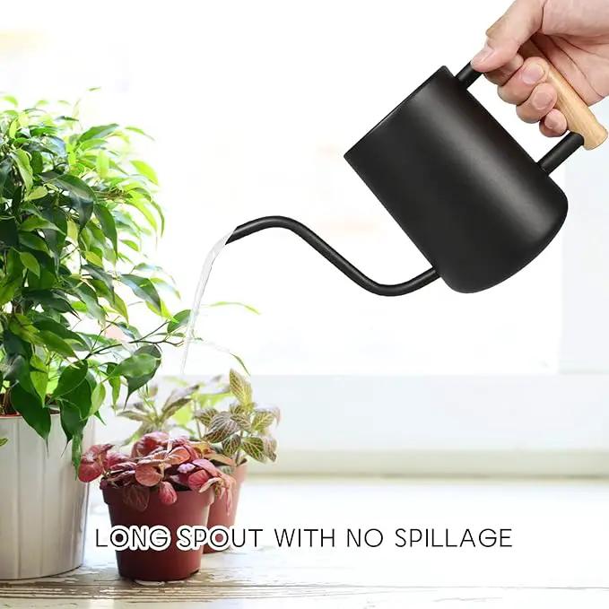 Watering Can for Indoor Plants, 35 oz/1000 ml Metal Stainless Steel Pot with Long Spout for House Plants Bonsai Outdoor Garden Flower Decorative (Black) by GreenHaven Gardens