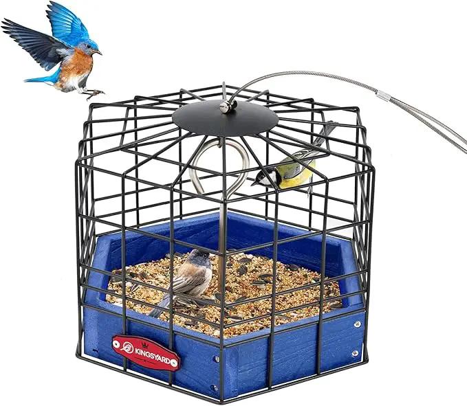 Kingsyard Squirrel Proof Platform Bird Feeder for Outdoor Hanging, Caged Bird Feeder for Bluebird Mealworm, Recycled Plastic Feeding Platform with Metal Mesh Tray, Special for Small Birds, Blue by GreenHaven Gardens