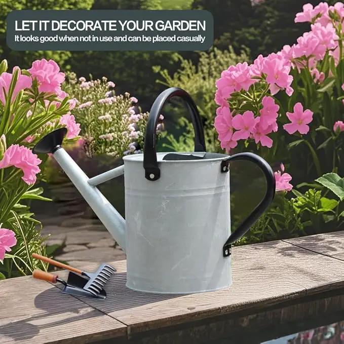 Metal Watering Can, One Gallon Watering Cans Stainless Steel for Outdoor Indoor Garden Plants Watering (Silver 1 Gallon) by GreenHaven Gardens