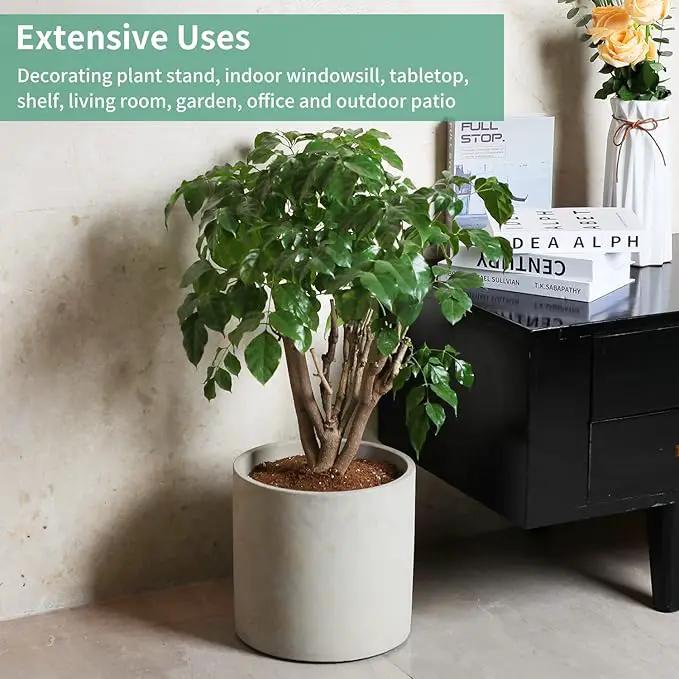 Mozing Cement Plant Pots Indoor - 4.8 inch Concrete Planter Pot for Planting - Modern Stone Clay Flower Pot with Drainage Hole for Garden, Home, Office Decor, Grey by GreenHaven Gardens