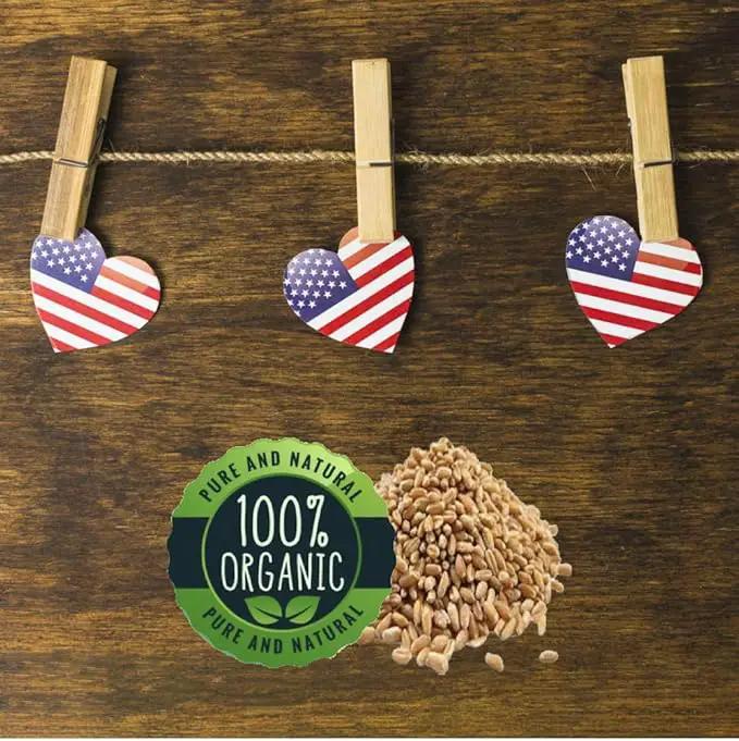 Easy Cat Grass Kit (3 Pack) Just Add Water. Includes Certified Organic Non GMO Wheatgrass Seed, Fiber Soil, Cups Chalkboard Labels. Your Pets Will Love This by GreenHaven Gardens
