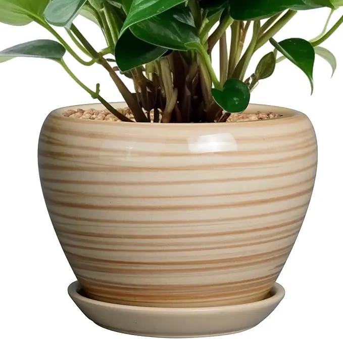 6 Inch Plant Pot Ceramic - Decorative Planter for Indoor Plants Succulent Pot with Drainage Hole and Saucer Round Planter Outdoor Flower Pot for House Patio Yellow by GreenHaven Gardens
