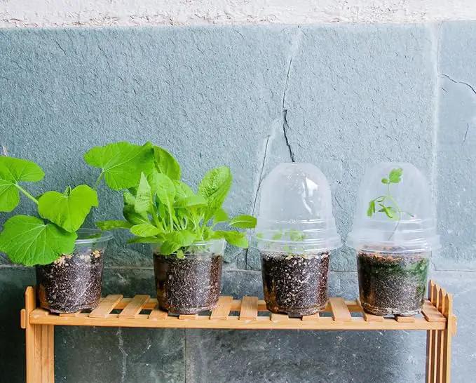 30 Packs 4 Inch Reinforced Clear Nursery Pots with Humidity Dome, Transparent Variety Pack Plastic Plant Pot Seedling Planter Seed Starter Flower by GreenHaven Gardens
