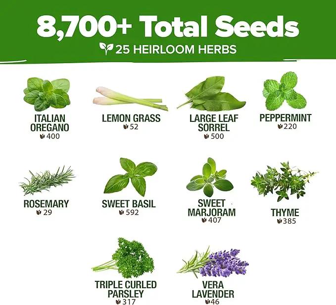 HOME GROWN 25 Herb Seeds for Planting 8,700+ Non-GMO Heirloom Seeds | Extra Large Variety Pack Herb Kit – Indoor Outdoor & Hydroponic | Culinary Seed Set | Grow Your Own Herbs | Gardening Gift by GreenHaven Gardens