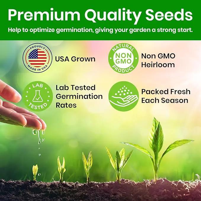 NatureZ Edge Catnip Seeds for Planting, 6.5 Grams, 11,000+ Herb Seeds, Indoor or Outdoor Growing, Your Cat Will Love Them, Non-GMO by GreenHaven Gardens