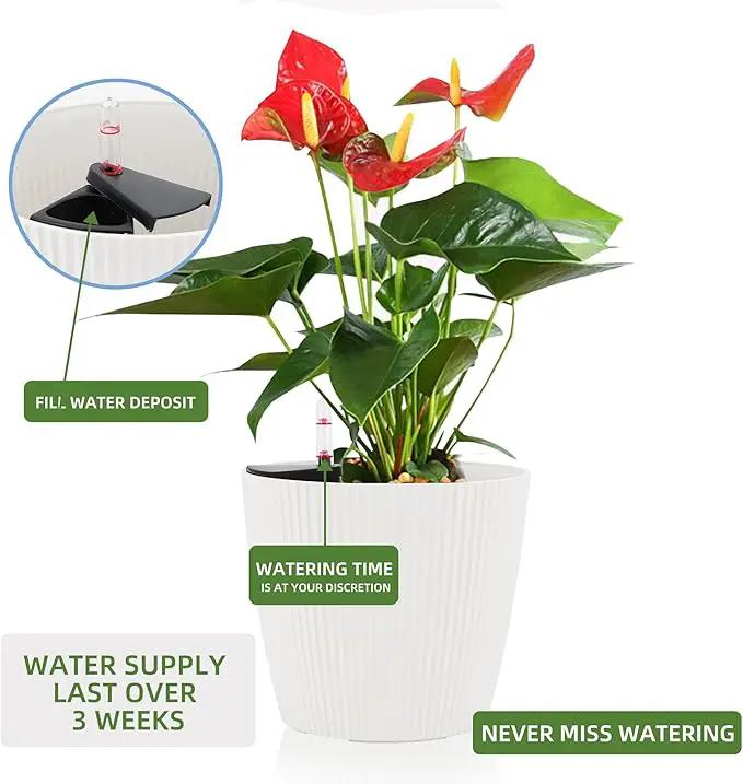 Dexceder 11x10 Self Watering Planters Indoor, Inner Mat Design, Table Flower Plant Pot with Water Level Indicator (2 Pack, White) by GreenHaven Gardens
