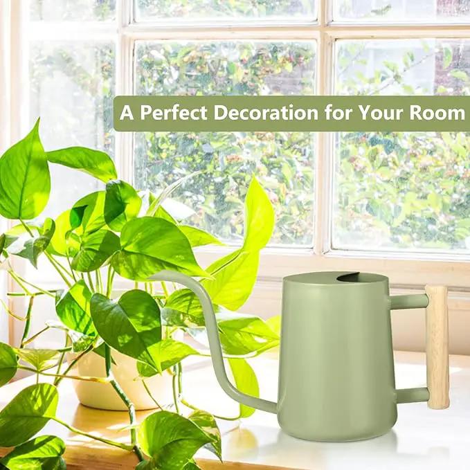 Watering Can Indoor Plants, 35oz Small Watering Can Indoor Stainless Steel Metal Watering Can Modern Decorative Watering Pot with Long Spout for Indoor House Plant Bonsai Garden Flowers (Sage Green) by GreenHaven Gardens