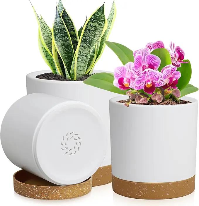 3 Pack 6/5/4 inch Cylindrical Flower Pots, Modern Small Round Plastic Plant Pots with Drainage Holes & Saucers, Clean and Refined Planter Pots for Outdoor, Indoor & Office Decor (White Brown) by GreenHaven Gardens