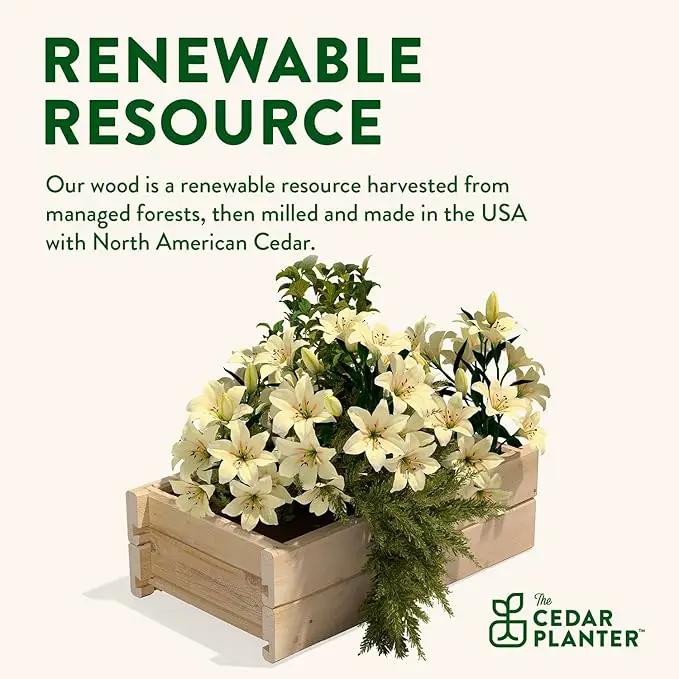 Greenes Fence Cedar Wood Planter Box with Wall Mount Brackets, 21" x 11" x 7" - Made in USA with North American Cedar by GreenHaven Gardens