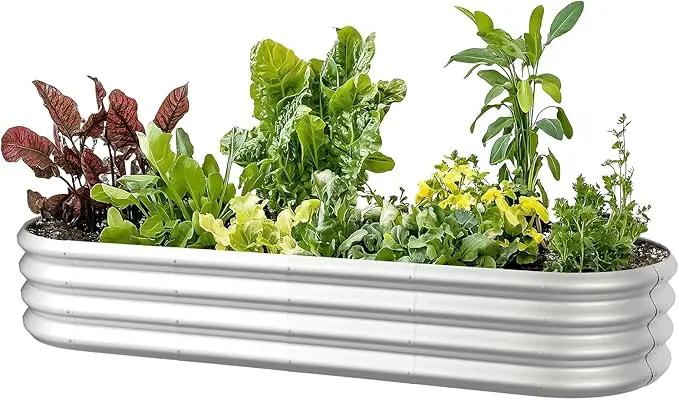 6x2x1ft Oval Galvanized Raised Garden Bed Outdoor 9-in-1 Large Metal Modular Planter Box Raised Beds for Gardening,Vegetables,Fruits,Flowers & Herbs (Silver) by GreenHaven Gardens