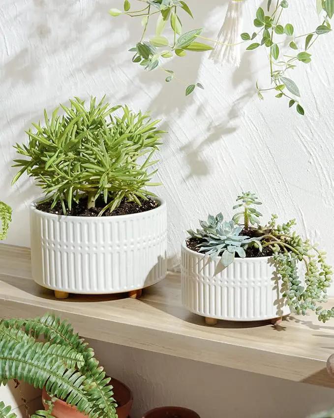 LE TAUCI Succulent Pots, 6.5+8 Inch Ceramic Indoor Plant Pot with Drainage Hole, Modern Round Decorative Flower Pot, Set of 2, Matte White by GreenHaven Gardens