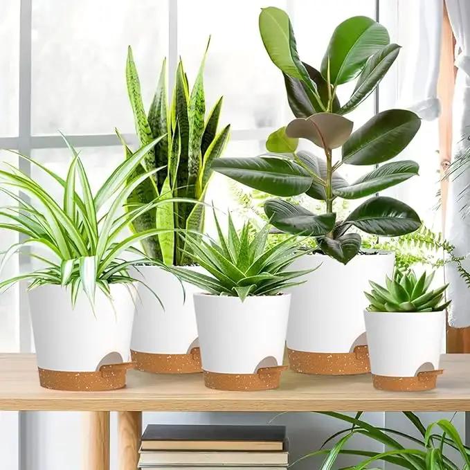 7/6.5/6/5.5/5/4 inch Self Watering Pots for Indoor Outdoor Plants, 6 Pack Plastic Flower Planters with Drainage Holes and Removable Saucers, Plant Pots with Wicking Rope, White Brown by GreenHaven Gardens