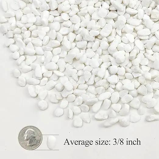 20lbs White Pebbles for Landscaping, 3/8inch Small Rocks for Gardening Succulent Cactus Planters, Natural Polished Pebbles, River Rocks for Plants, Vases by GreenHaven Gardens