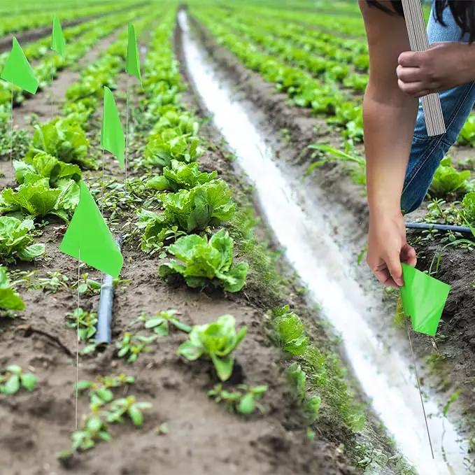 Zozen Marking Flags, Green Color | 1000 Pcs | 15x4x5 Inch, Yard Flags for Lawn & Irrigation & Landscape & Sprinkler & Survey & Dog Training. by GreenHaven Gardens