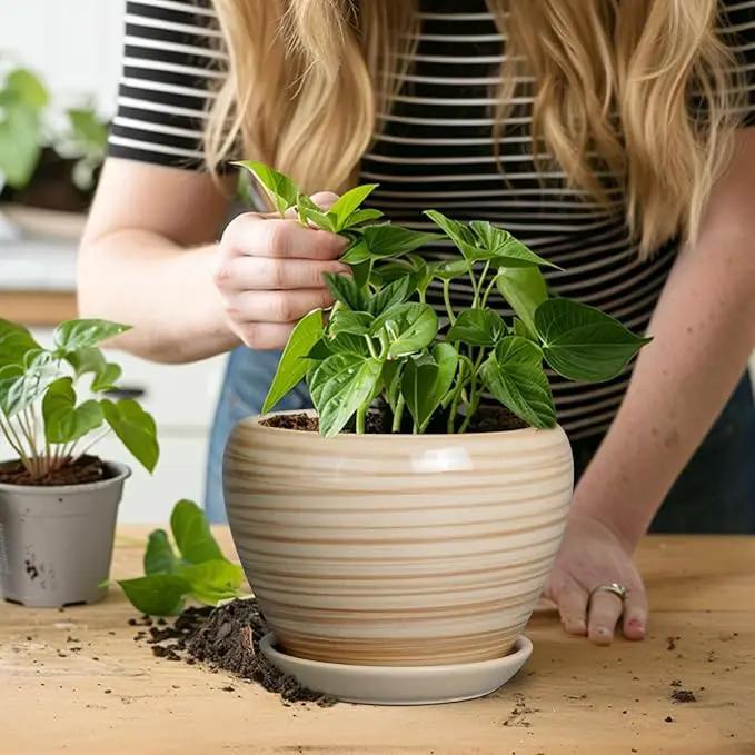6 Inch Plant Pot Ceramic - Decorative Planter for Indoor Plants Succulent Pot with Drainage Hole and Saucer Round Planter Outdoor Flower Pot for House Patio Yellow by GreenHaven Gardens