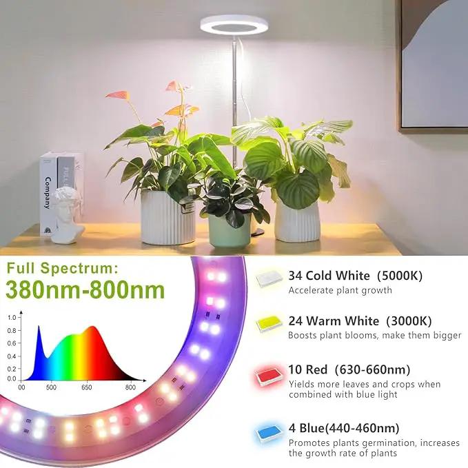 LORDEM Grow Light, LED Plant Light for Indoor Plants Growing, Full Spectrum Desk Growth Lamp with Automatic Timer for 4H/8H/12H, 4 Dimmable Levels, Height Adjustable 9.8"-30.6" by GreenHaven Gardens