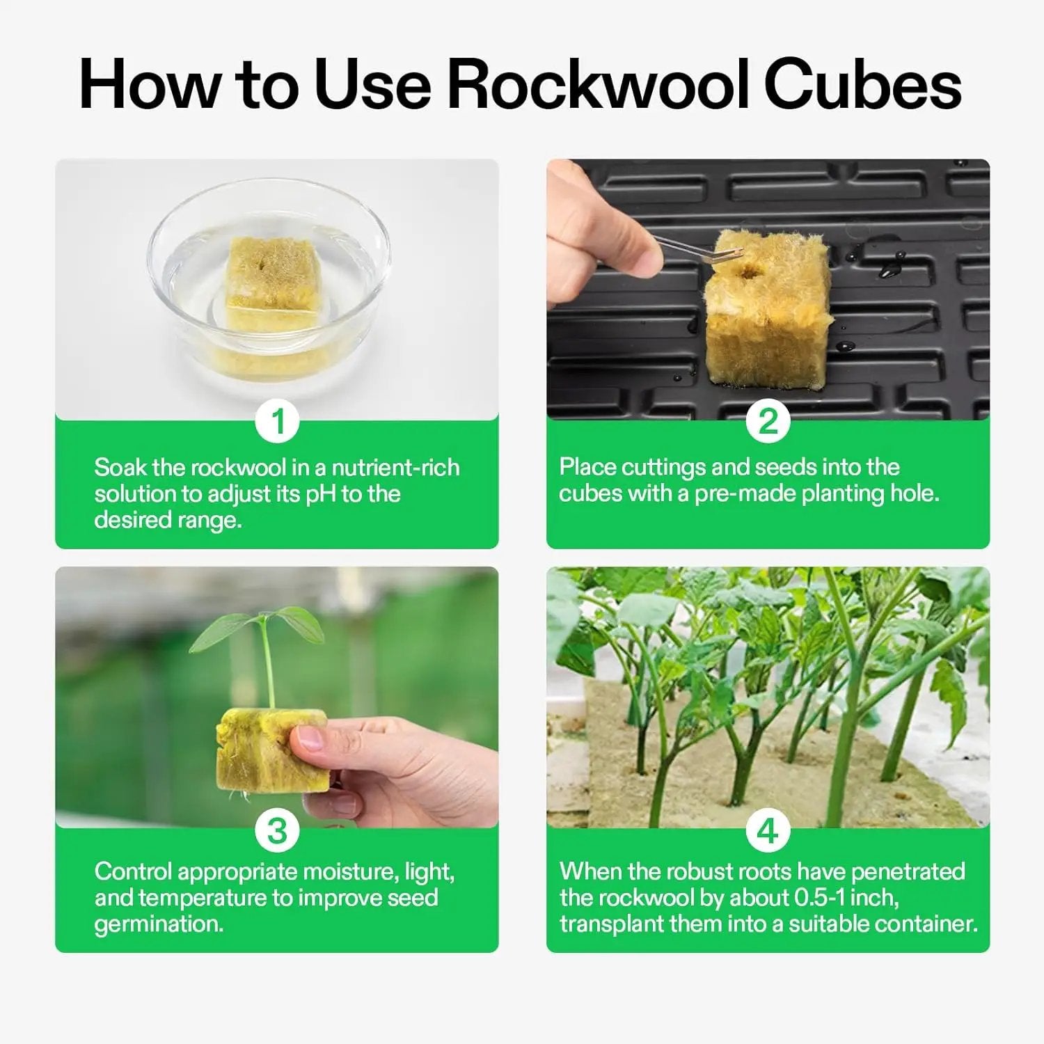 VIVOSUN 1.6" Rockwool Cubes, 112 Plugs Stonewool Starter Grow Cubes for Cuttings, Cloning, Plant Propagation, Seed Starting, Hydroponic Grow Media for Vigorous Plant Growth, 4 Sheets of 112 Plugs by GreenHaven Gardens