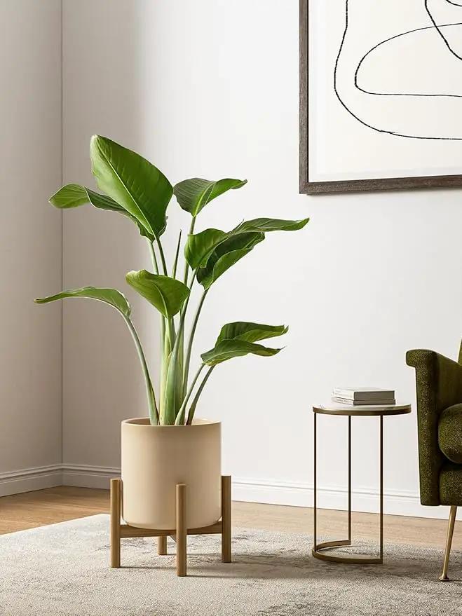 LE TAUCI Ceramic Plant Pots Indoor, 10+8+6 Inch Planters for Indoor Plants, Mid-Century Modern Flower Pots with Drainage Hole and Plug, Cylinder Round Planters, Set of 3, Cloud Cream by GreenHaven Gardens
