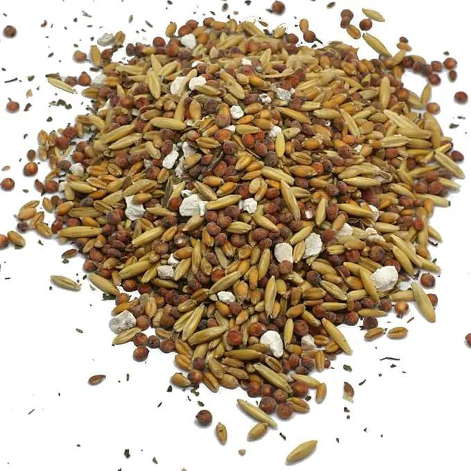 Pampered Chicken Mama Chick Feed - Premium Chicken Scratch Treat - High Protein & Calcium Grower Feed for Laying Hens (10 lbs) by GreenHaven Gardens