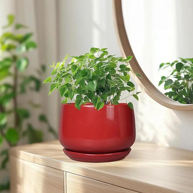 G EPGardening Ceramic Planter 7 Inch - Flower Pots for Indoor Plants, Round Planter with Drainage and Ceramic Tray, Modern Plant Pot, Bathroom Decor, Teacher Gifts, Red by GreenHaven Gardens