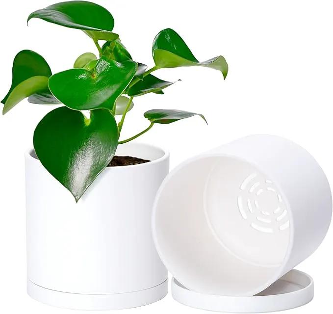 D'vine Dev 2 Pack 5 Inch Modern Plastic Plant Pots, Small Garden Planters for Plant with Drainage Holes and Saucers, White Color, 74-Z-G-1 by GreenHaven Gardens