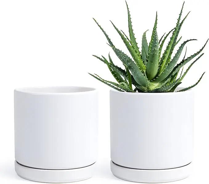 D'vine Dev Set of 2 Plants Pots, 6 Inch Ceramic Planter Pot for Plants with Drainage Hole and Saucer, White, 94-V-C-1 by GreenHaven Gardens