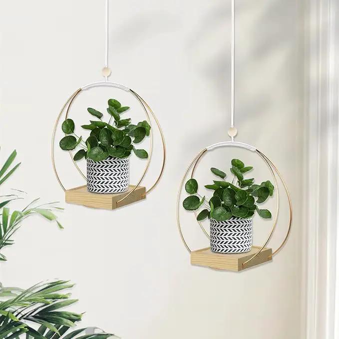Hanging Planters for Indoor Plants, Plant Hanger with Sturdy Wood Base,Modern Boho Macrame Plant Hanger,Wall Ceiling Window Stands(Plants/Pots Not Included) by GreenHaven Gardens