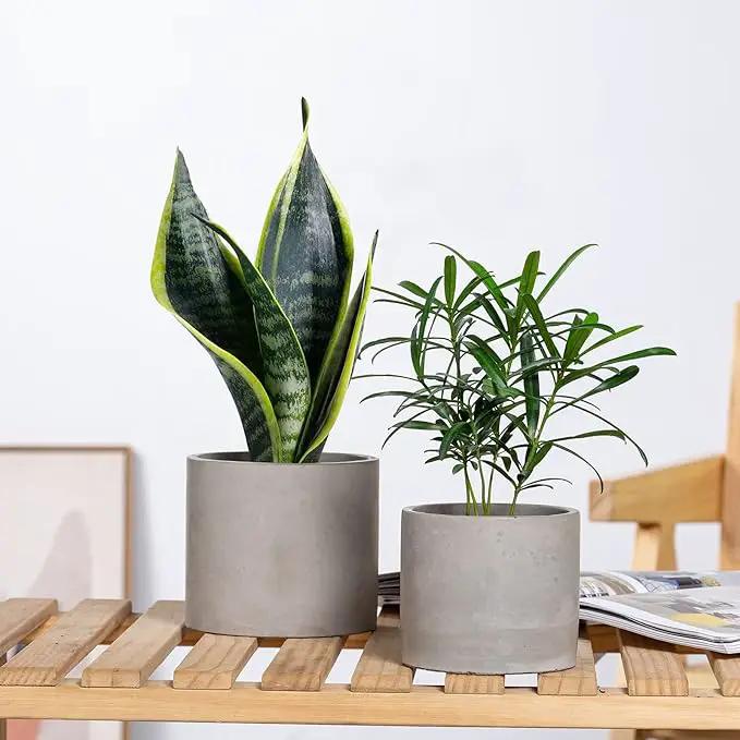 Ekirlin Planters for Indoor Plants, 3.5/4 Inch Plant Pots with Drainage Holes, Removable Rubber Stopper, Non-Slip Soft Pad - Grey Cement Concrete Planter for Most Indoor Outdoor Plants and Flowers by GreenHaven Gardens