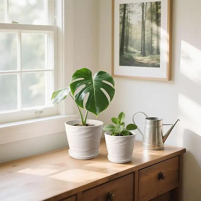 6.7 + 5.5 Inch Plant Pot, Ceramic Planter with Drainage and Saucer，Ceramic Pots for Plants, Indoor Plant pots，Succulent Orchid Flower Pot(Pure White) by GreenHaven Gardens