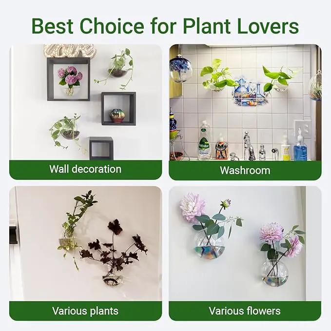 Ivolador Wall Hanging Planter Propagation Station Glass Flower Vase for Hydroponics Plants, Home Office Living Room Decor Gift, Set of 4 by GreenHaven Gardens