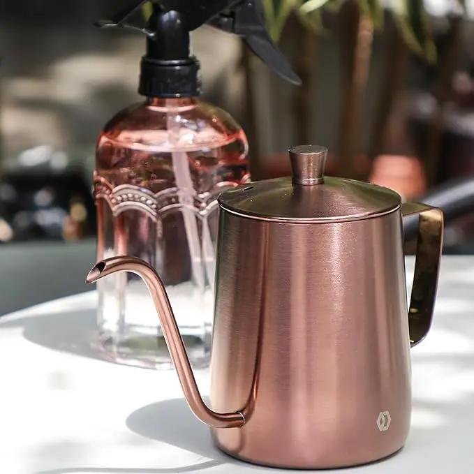 OFFIDIX Watering Can for Indoor Plants Long Spout Metal Stainless Steel 21 oz/600 ml Small Watering Can with 14 oz/400ml Glass Plant Mister Spray Bottle for Plants Bonsai by GreenHaven Gardens