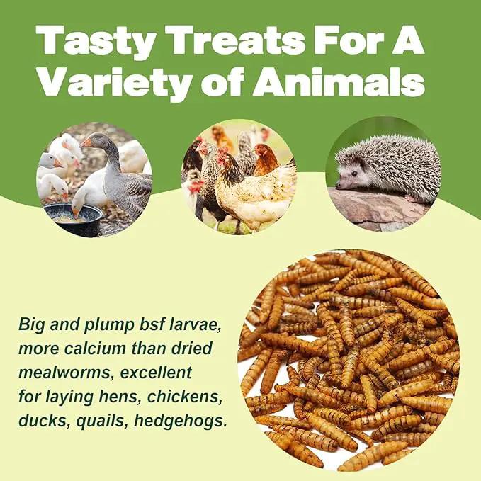 22LB Dried Black Soldier Fly Larvae, 2 Pack of 11 LBS, 86X Calcium Than Dried Mealworms, High Protein Non-GMO Organic Chicken Feed by GreenHaven Gardens