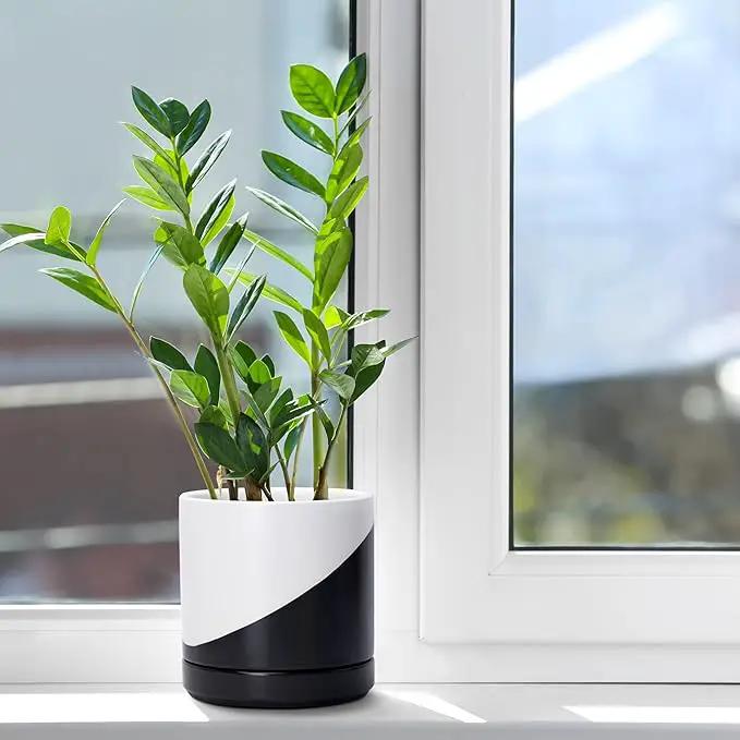 D'vine Dev 6.5 Inch Ceramic Planter Pot with Drainage Hole and Saucer, Indoor Cylinder Round Planter Pot, Oblique Monochrome Black and White, 94-O-C-K by GreenHaven Gardens