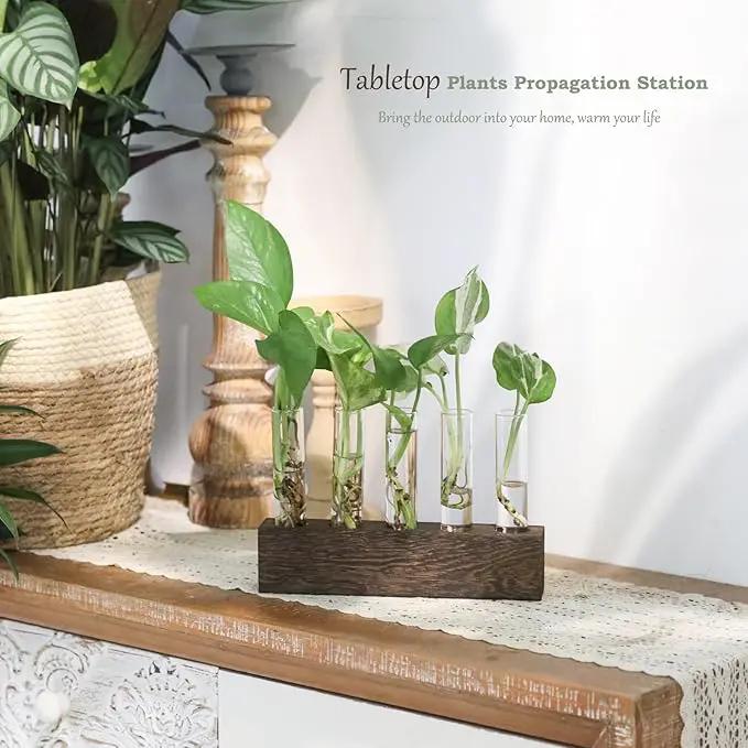 KAXYEW Desktop Glass Plant Propagation Station Test Tube Plant Terrarium in Wooden Stand for Hydroponic Plants Cutting Office Home Decoration Gift for Women (5 Test Tubes-BR) by GreenHaven Gardens